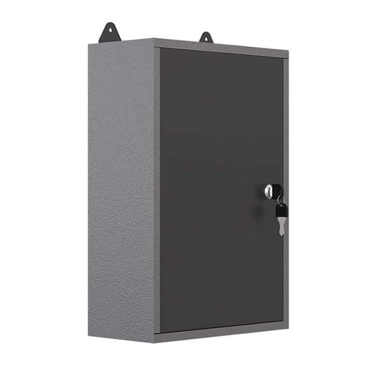 Metal Tool Wall Cabinet